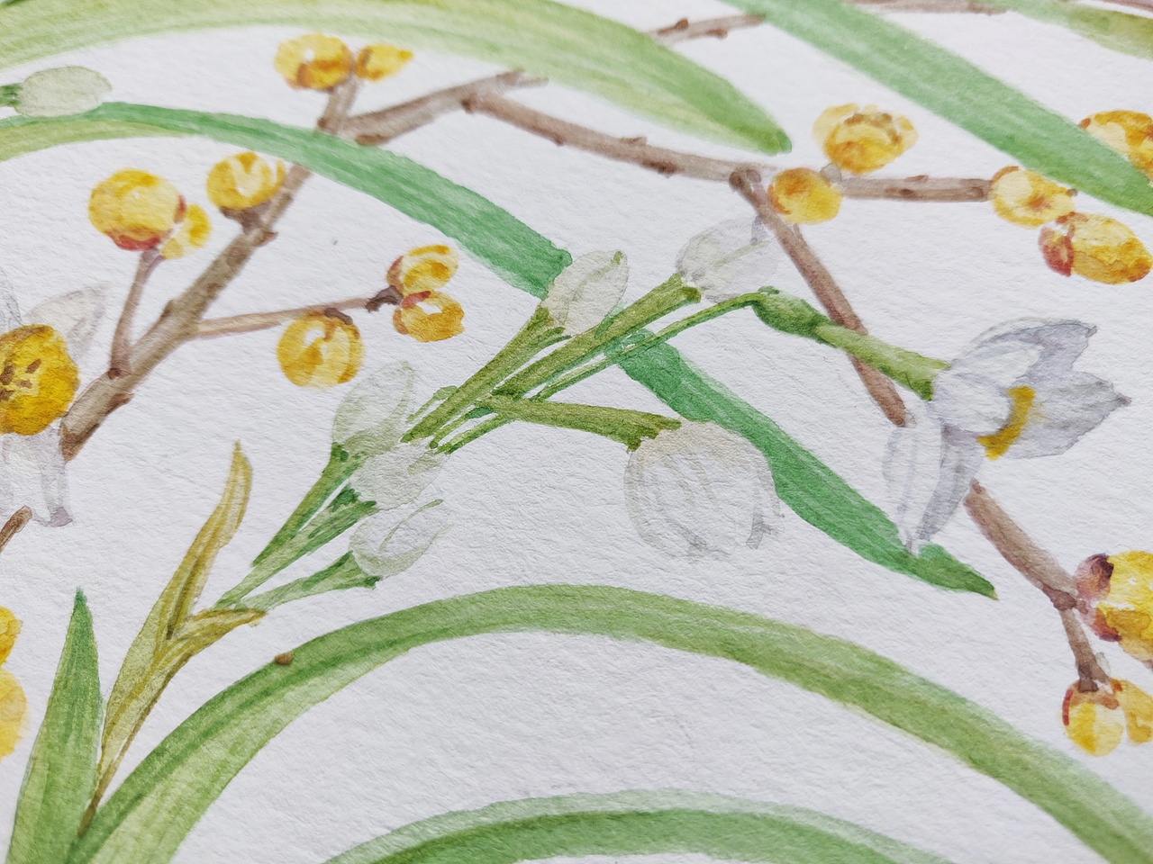十二月花神 水仙花 腊梅花（图ZMjQyNTYxMzAw） - 艺术插画 - 站酷设计师淂淇原创素材 - 站酷ZCOOL