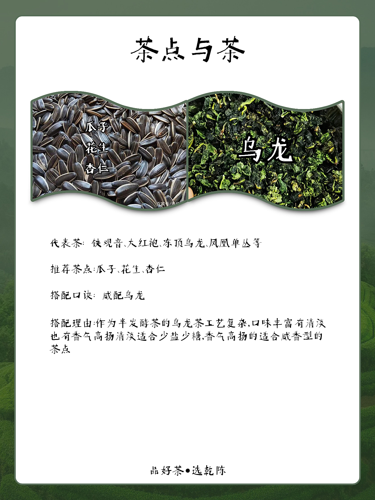 每日一款茶茶点知识
