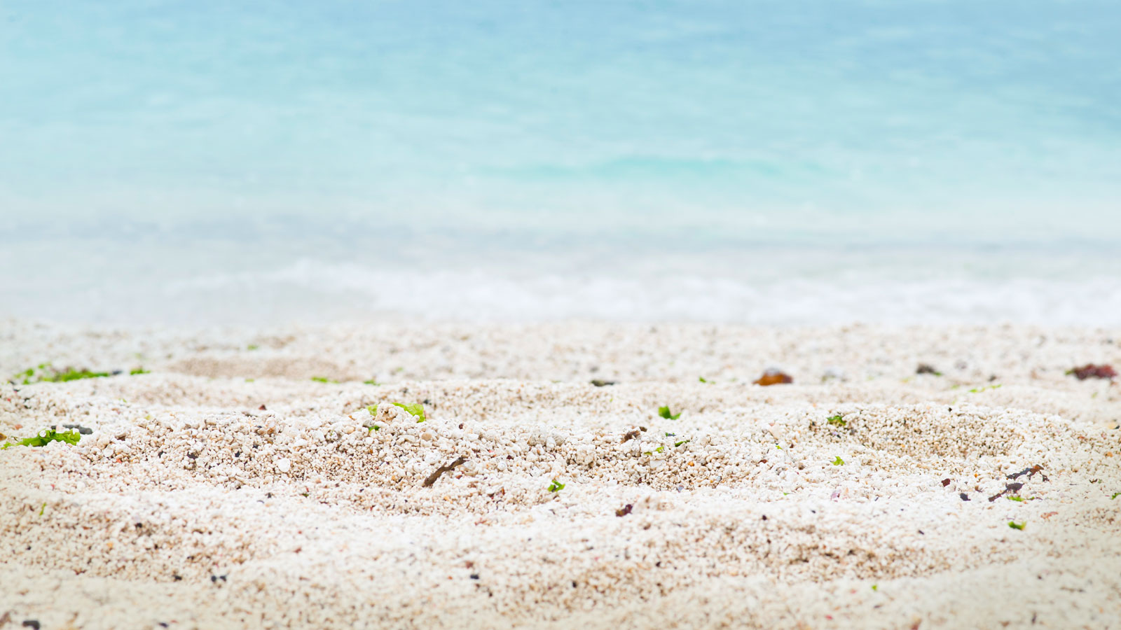 YUAN藝CHEN0的個(gè)人主頁(yè)（封面預(yù)覽） - 主頁(yè)封面設(shè)置 - 站酷設(shè)計(jì)師YUAN藝CHEN0原創(chuàng)素材 - 站酷ZCOOL