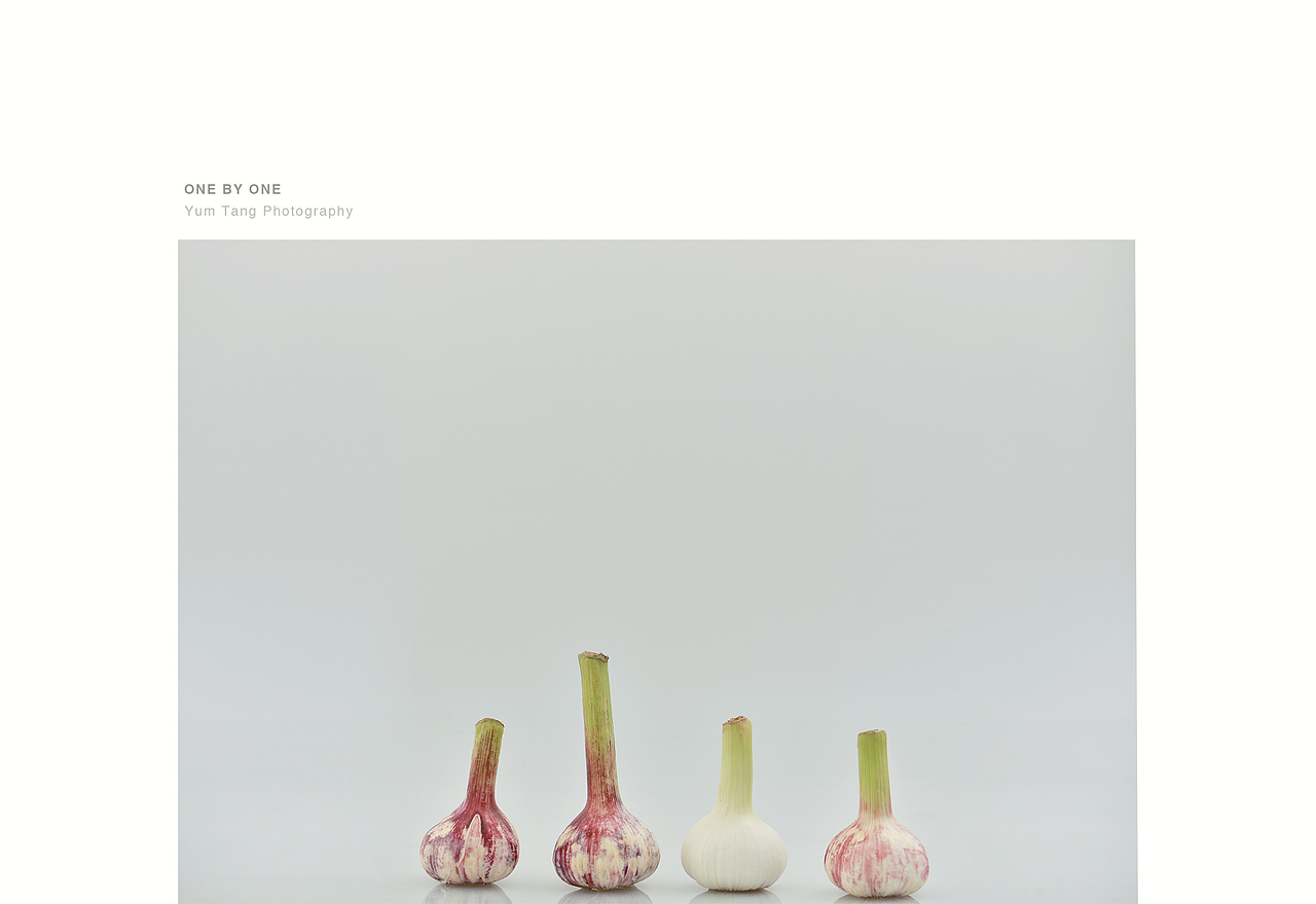 新蒜和郁金香瓜（图ZNzgxMTQ4NzI=） - 其他摄影 - 站酷设计师YUM汤汤原创素材 - 站酷ZCOOL