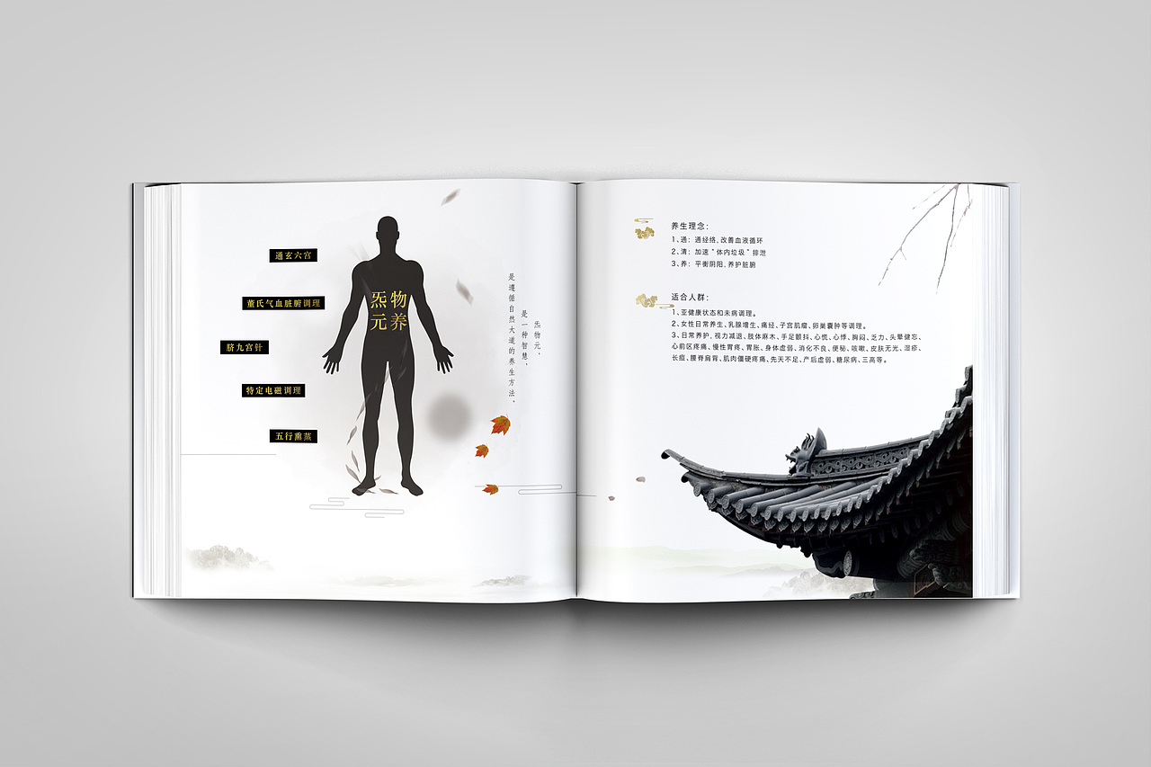 炁物元养生画册