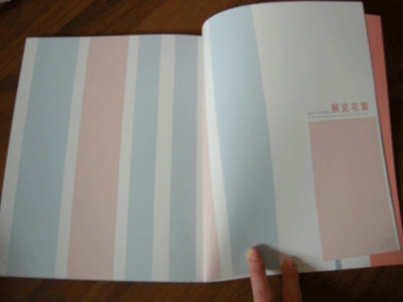 未来宋庄建筑展展览设计及画册