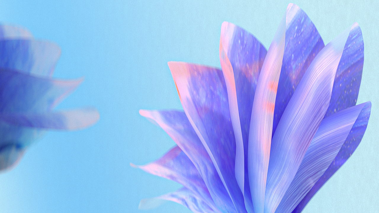 手机花瓣概念三维动画