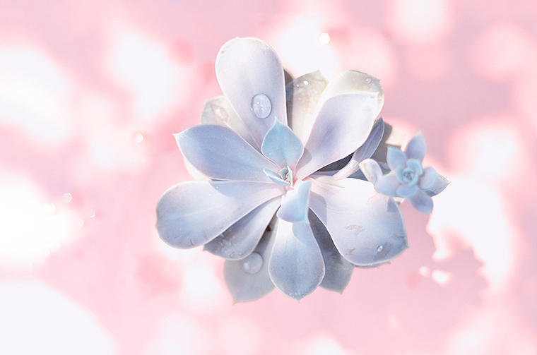 无尽夏（图ZMTE2ODI2MjE2） - 风光摄影 - 站酷设计师印记漫书原创素材 - 站酷ZCOOL