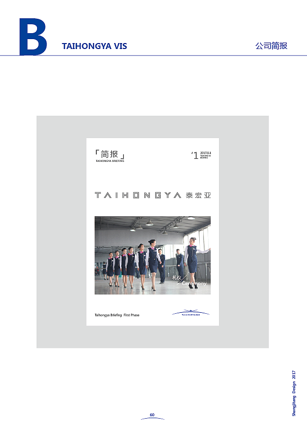 沈阳泰宏亚品牌VI设计