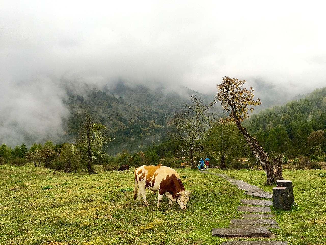 神木垒（图ZNjAzMDU5MTI=） - 风光摄影 - 站酷设计师阿月_Vv原创素材 - 站酷ZCOOL