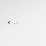 Drawm_缘的头像
