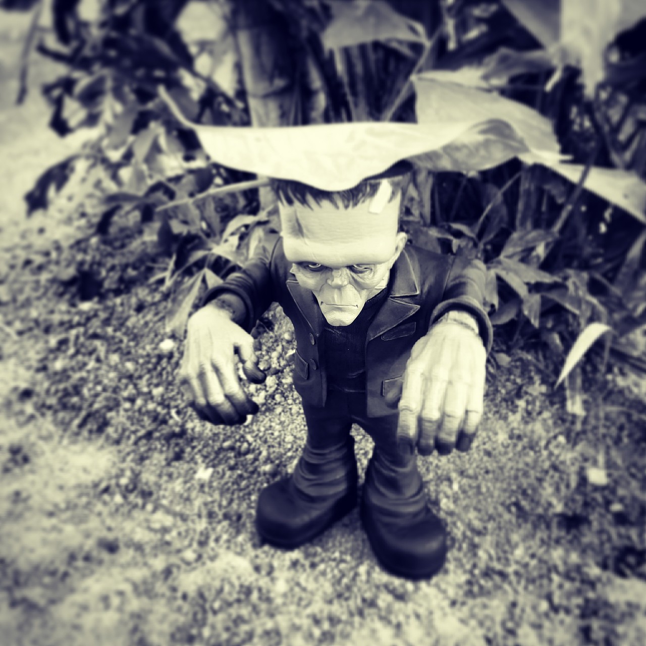 10.oct.toy&?(3atoys)