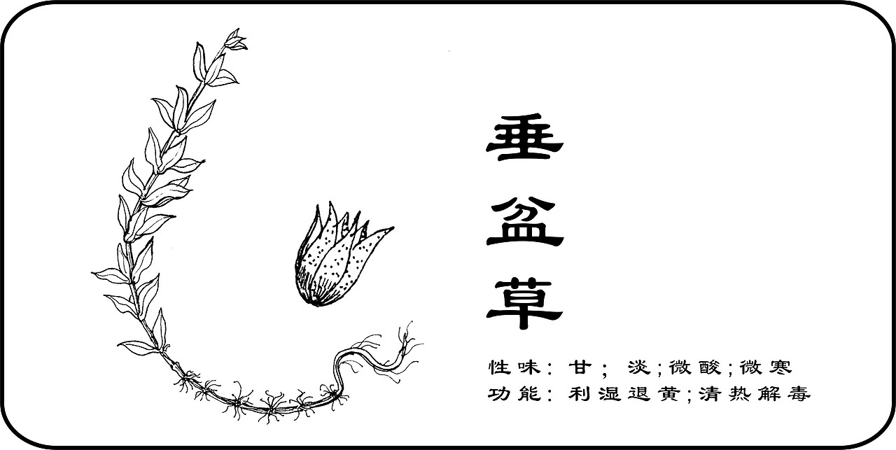 中草药手绘标示（图ZMzY3MjkzMzY=） - 创作习作 - 站酷设计师一二零七原创素材 - 站酷ZCOOL