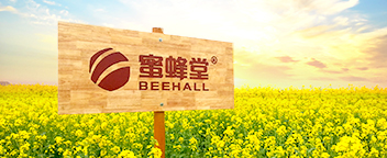 MFT2003的个人主页（背景预览） - 主页背景设置 - 站酷设计师MFT2003原创素材 - 站酷ZCOOL