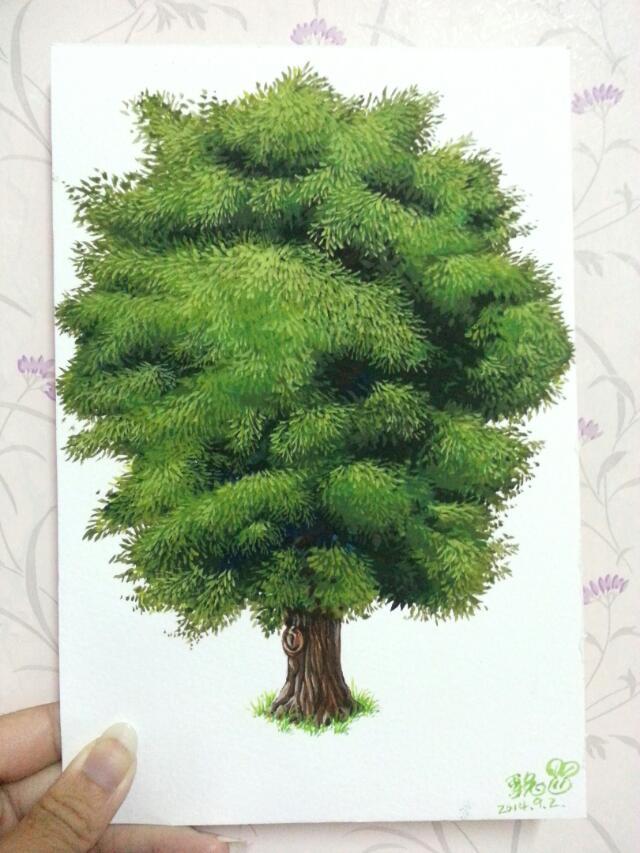 榕树不透明水彩超简单绘画