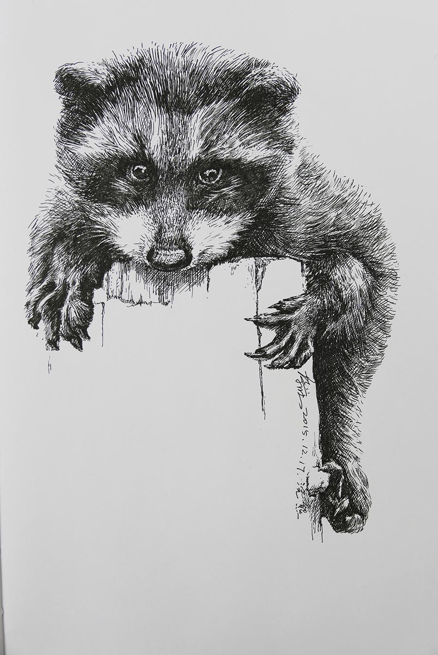 钢笔画动物简单图片
