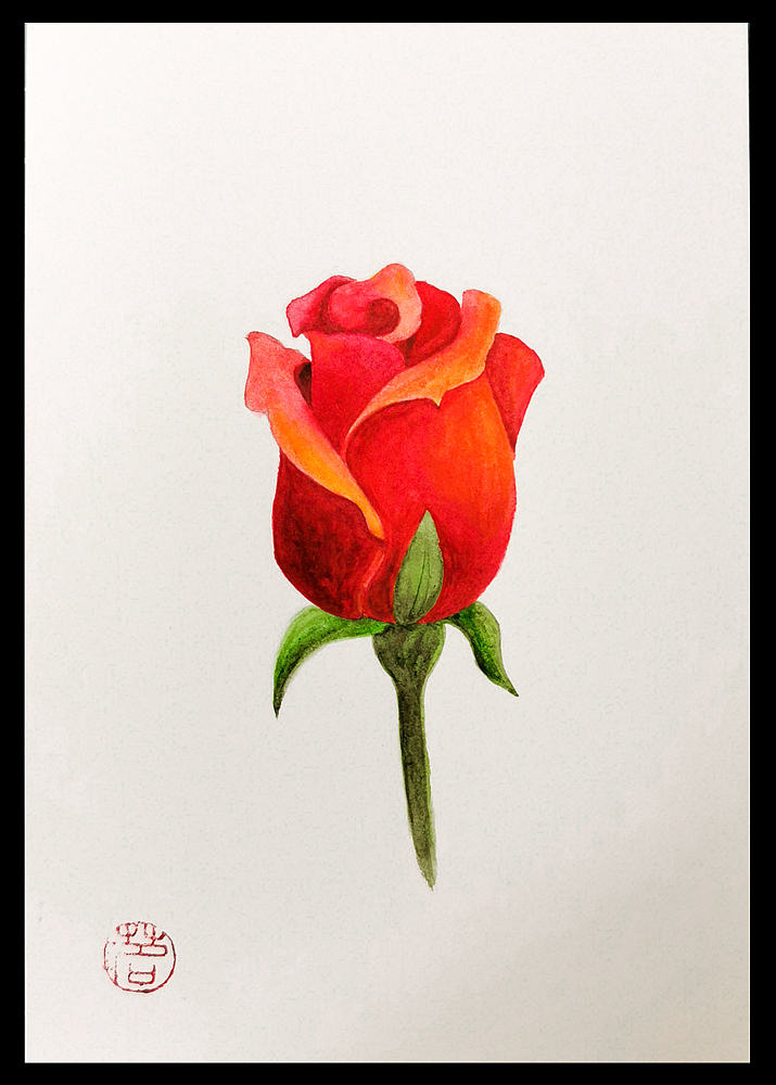 明信片的魅力-ing