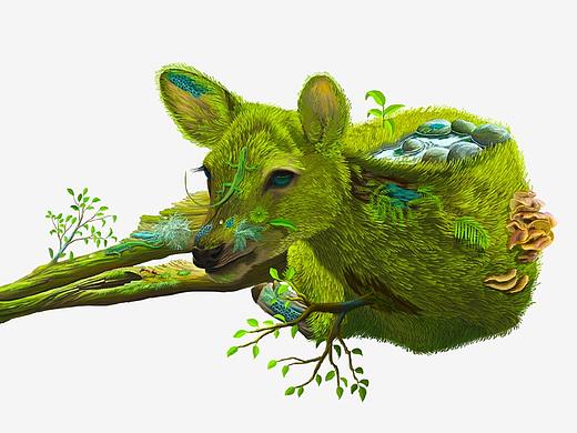 关于大自然微生植物的系列插画