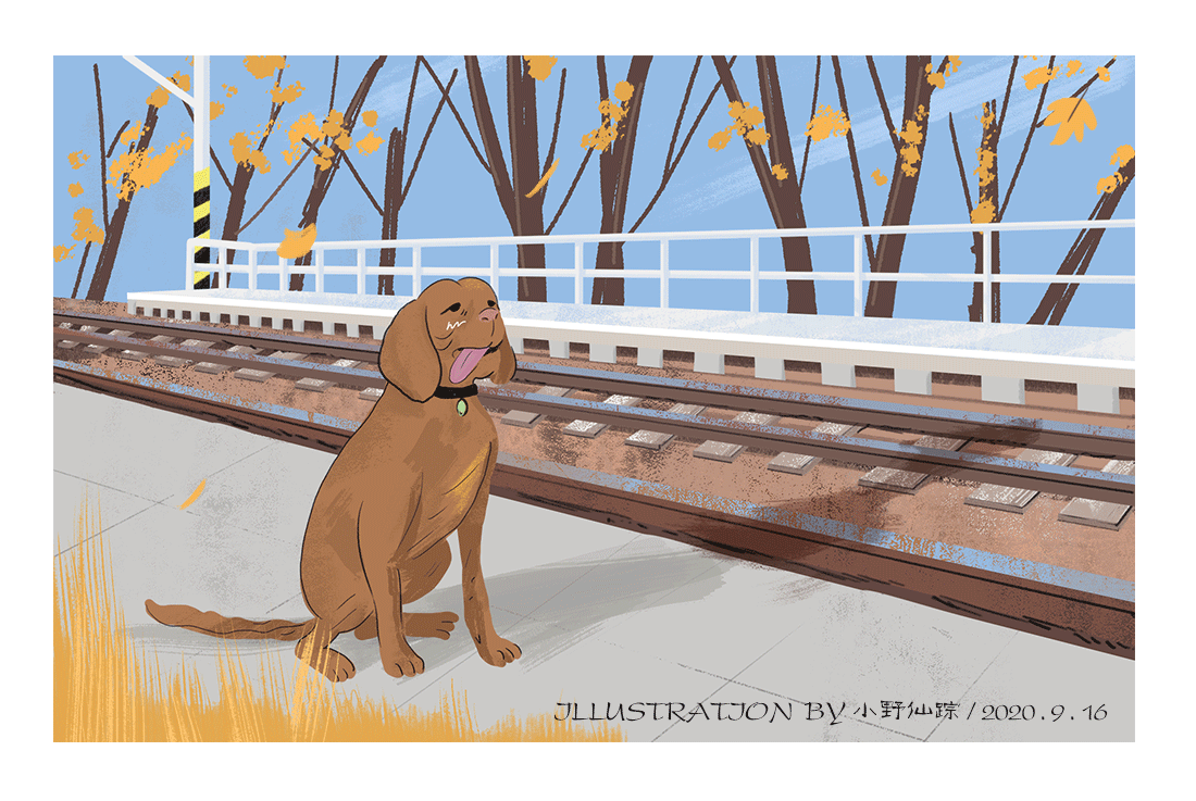 离别的车站|插画|创作习作|小野仙踪 - 原创作品 - 站酷 (zcool)