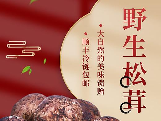 松茸菌菇海报