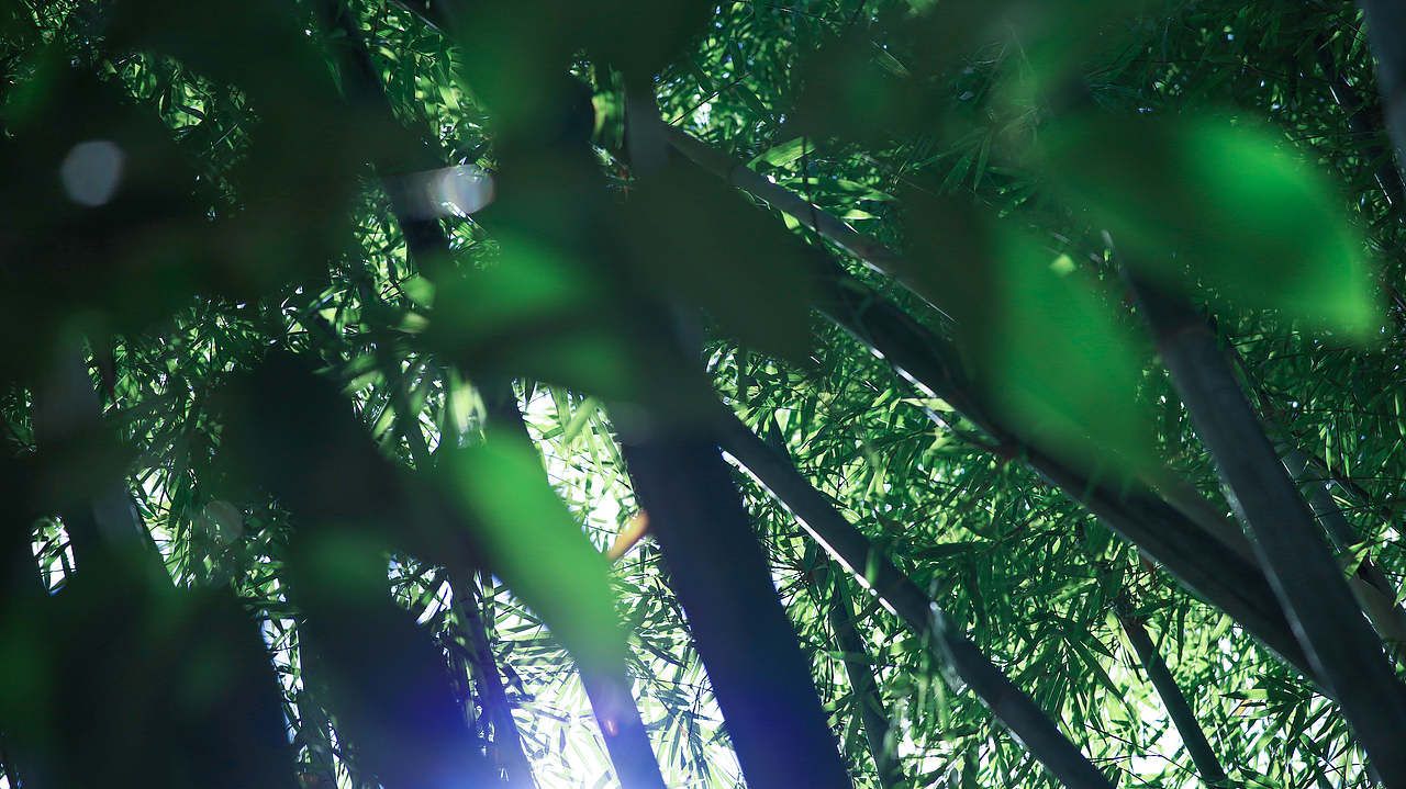 近期的走走拍拍