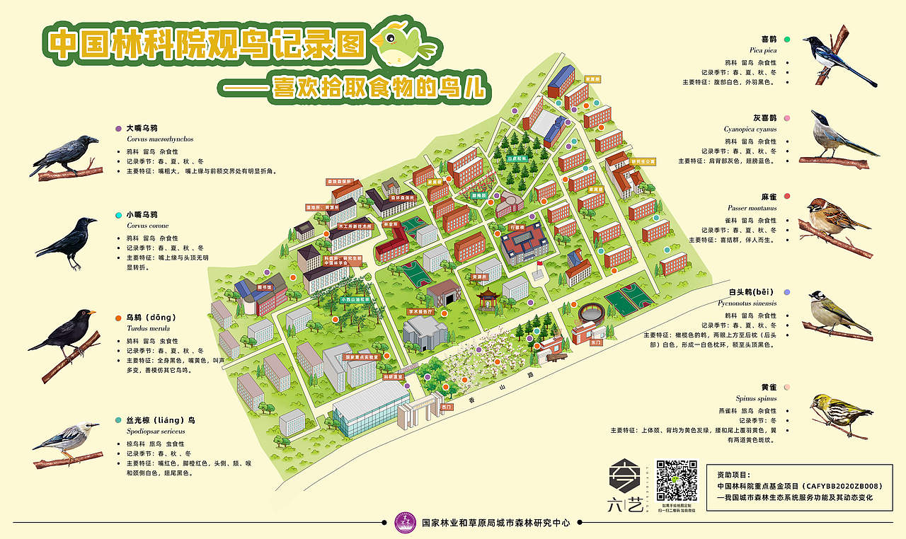 中国林科院春夏秋冬四季鸟类分布导览图集团手绘地图