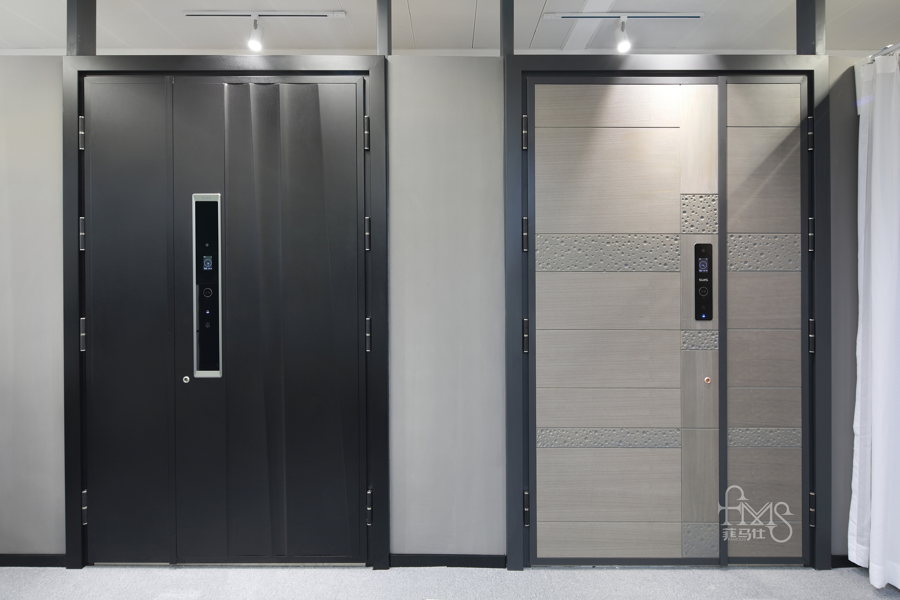 菲马仕智能装甲门