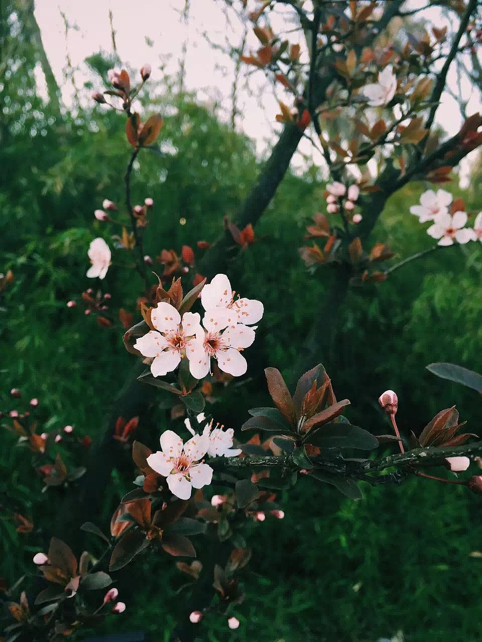 手机摄影-浙江地区为主