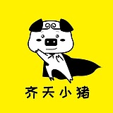 齐天小猪的头像