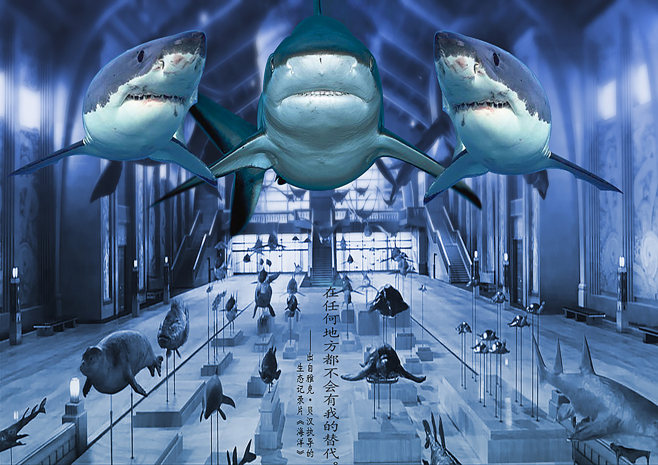 海洋保护公益海报