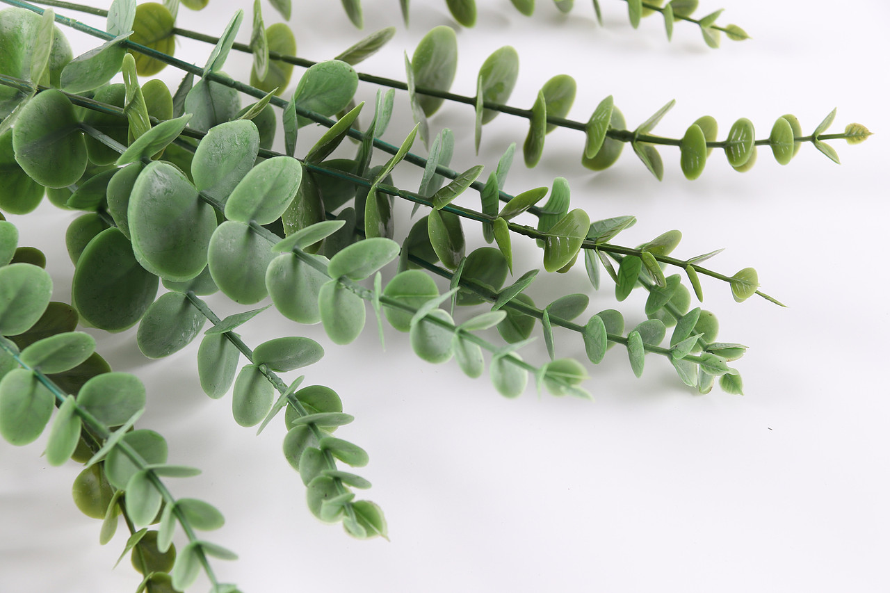 B03家居饰品\C11-仿真饰品\V06仿真尤加利叶X1