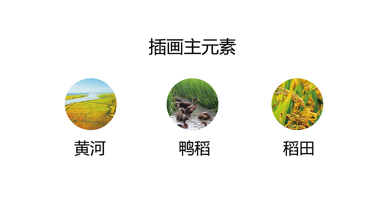 至觉案例丨彬山涛丰：大米品牌包装设计（图ZMjA1MjQwOTE2） - 包装 - 站酷设计师至觉品牌包装设计原创素材 - 站酷ZCOOL