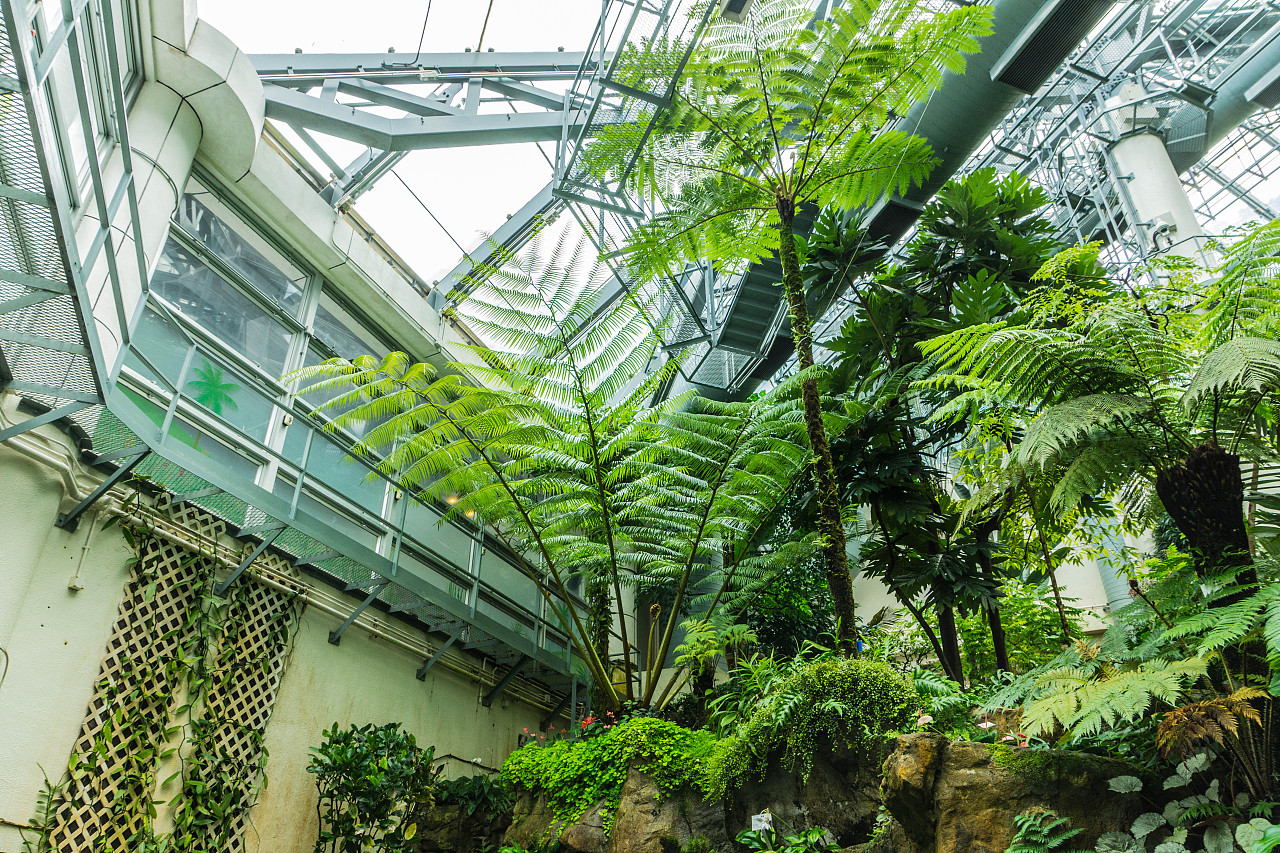 香港公园,是港岛商业中心区里难得一见的大型休憩地方.