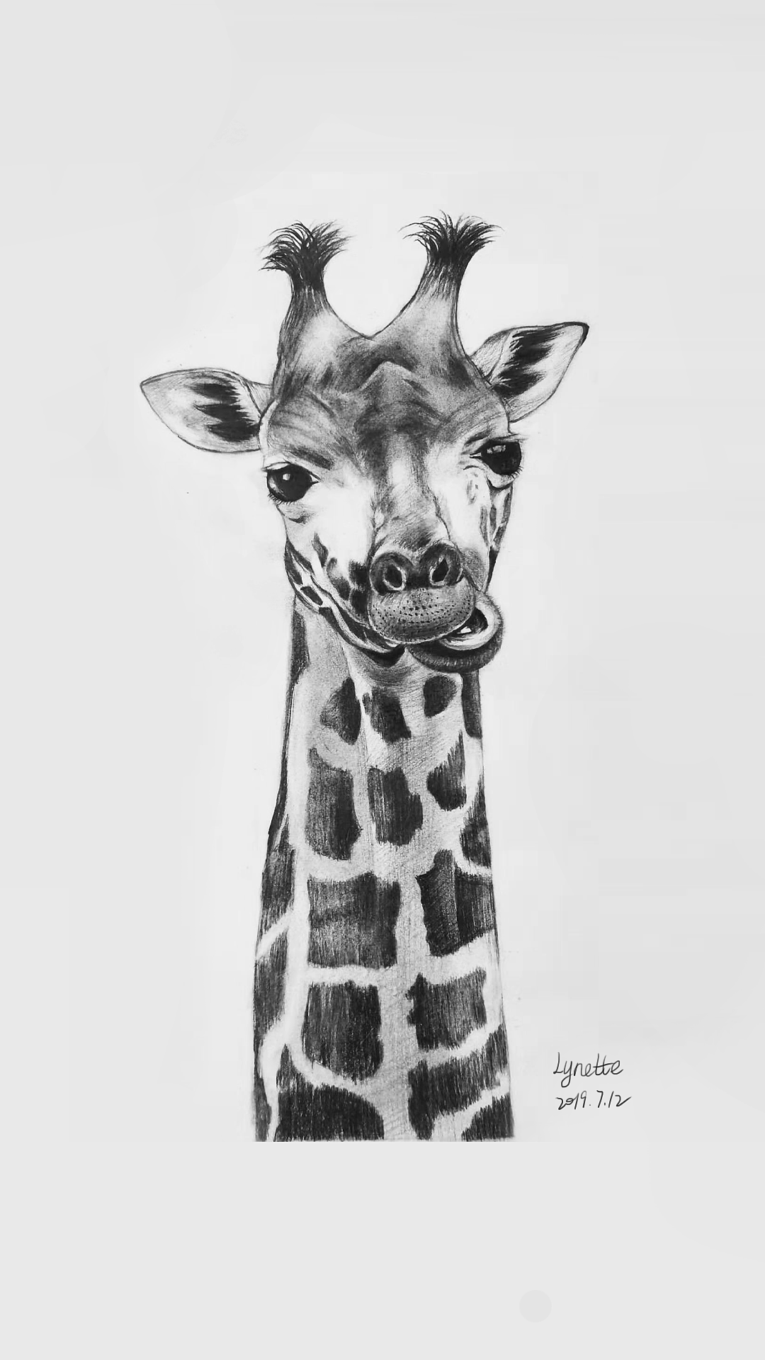 长颈鹿素描|纯艺术|绘画|lynette123_原创作品-站酷(zcool)