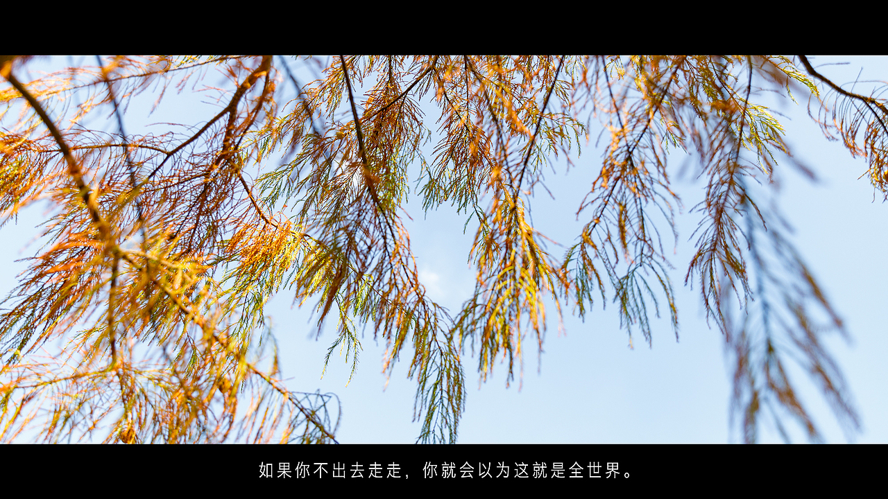 金秋的颜色（图ZMTg1NTYwOTQw） - 风光摄影 - 站酷设计师一路记录原创素材 - 站酷ZCOOL