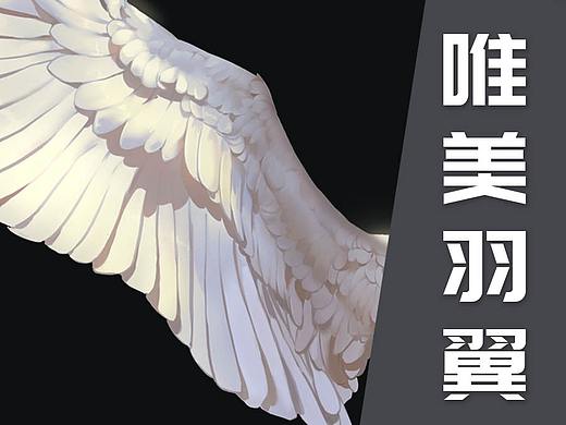【光翼学园教程】唯美羽翼教程