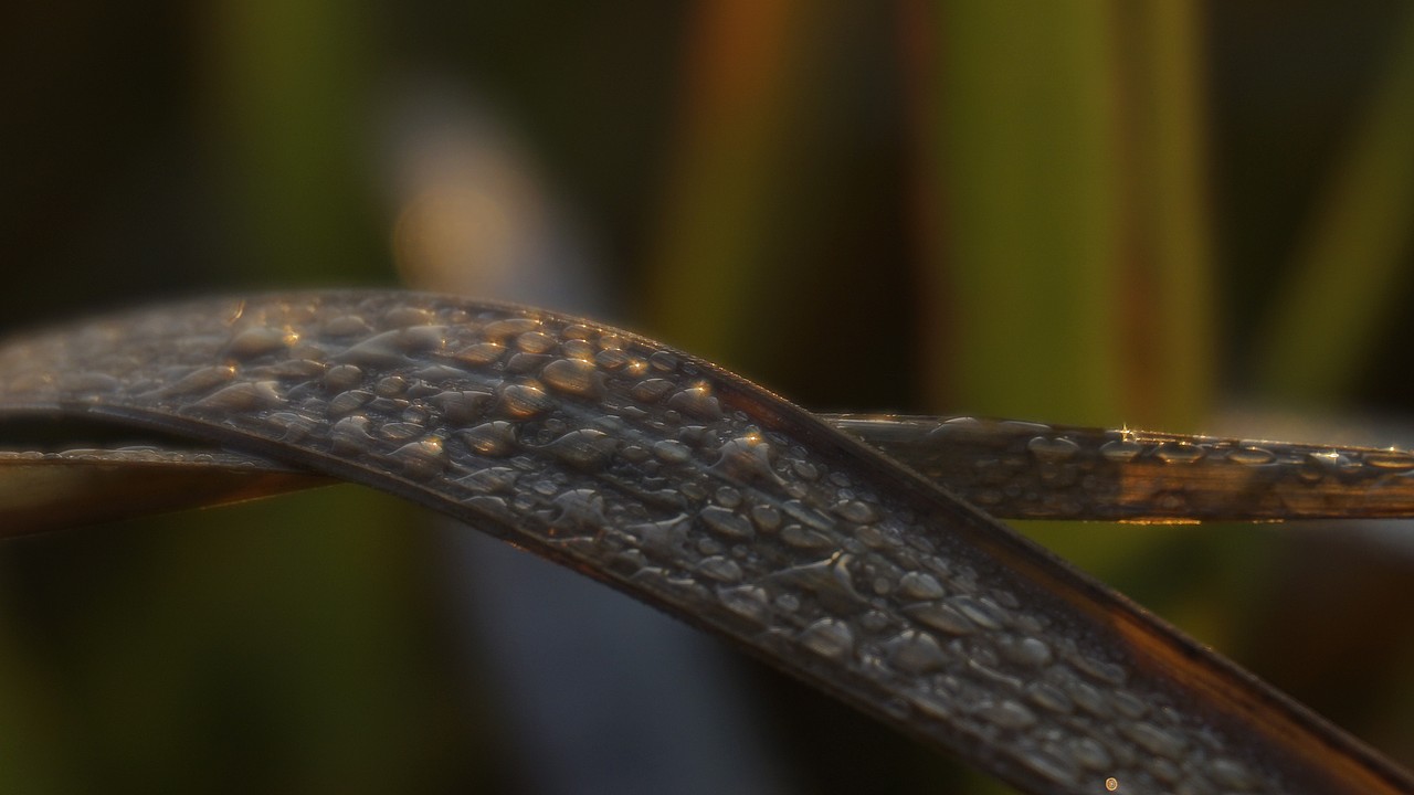 日出（图ZMTgxMTQ1MDAw） - 风光摄影 - 站酷设计师北方的南边原创素材 - 站酷ZCOOL