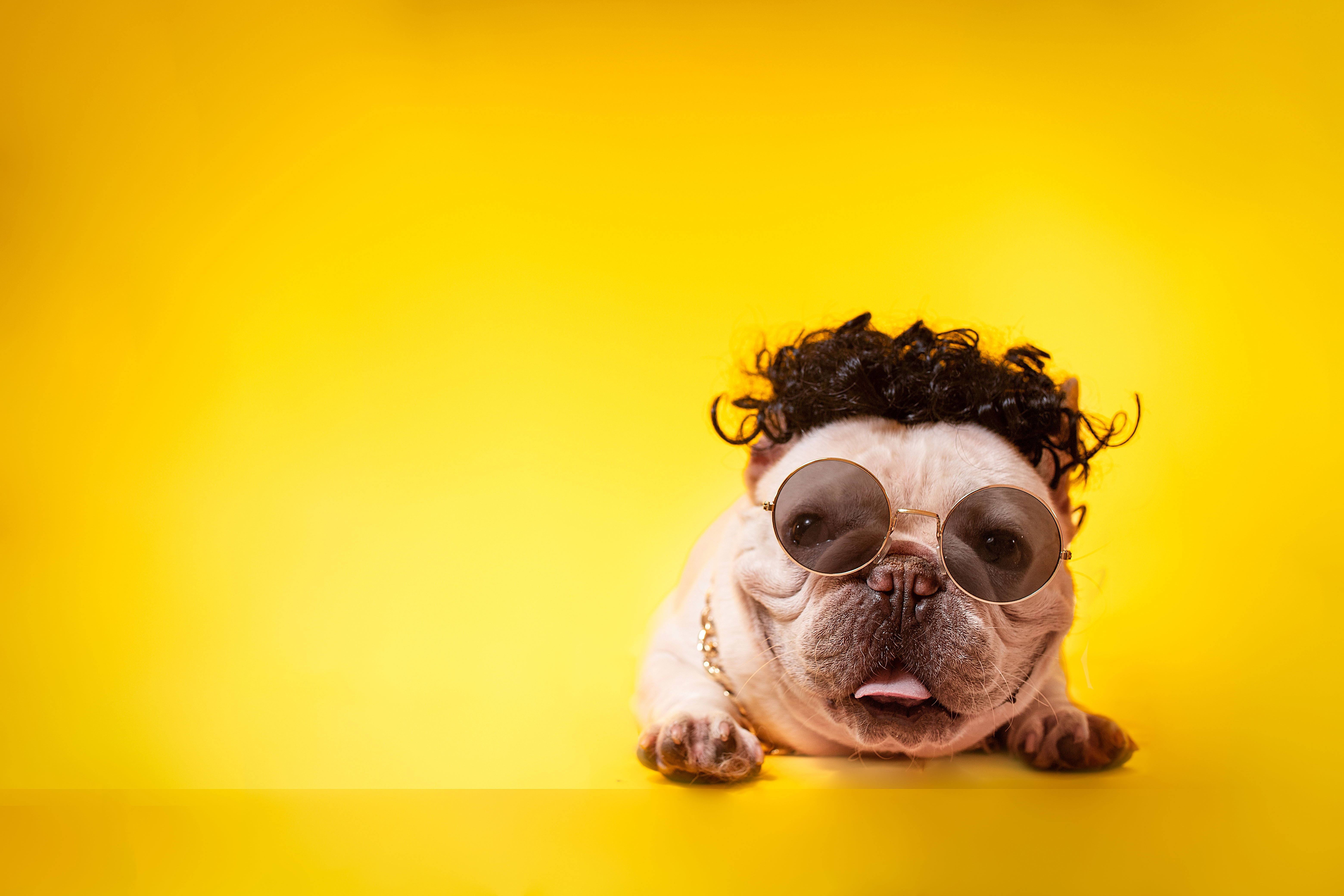 七姐姐的個人主頁（封面預覽） - 主頁封面設置 - 站酷設計師七姐姐原創(chuàng)素材 - 站酷ZCOOL