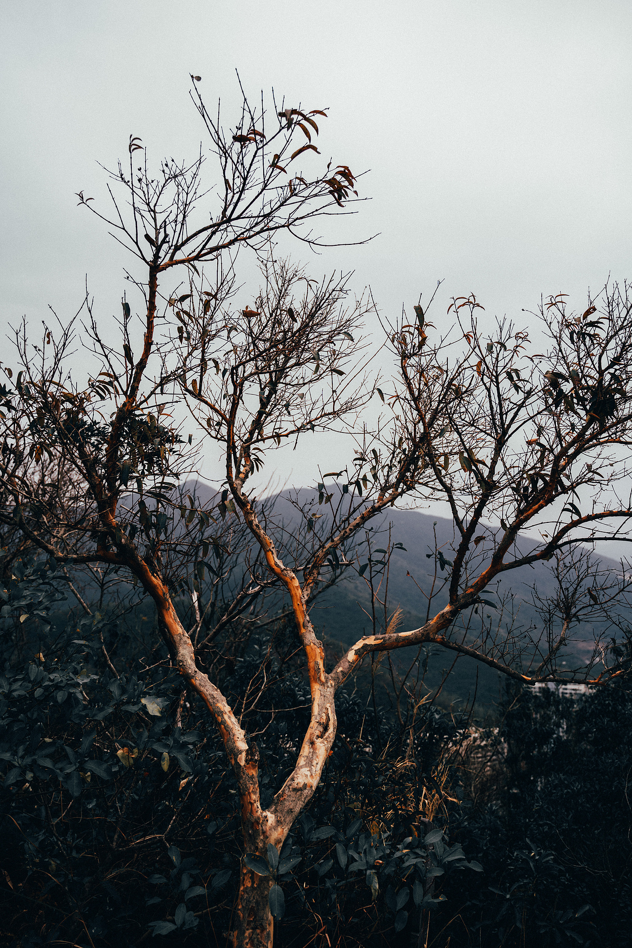 自己的路,自己欣赏。