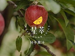 LOGO.01 | XING CUI