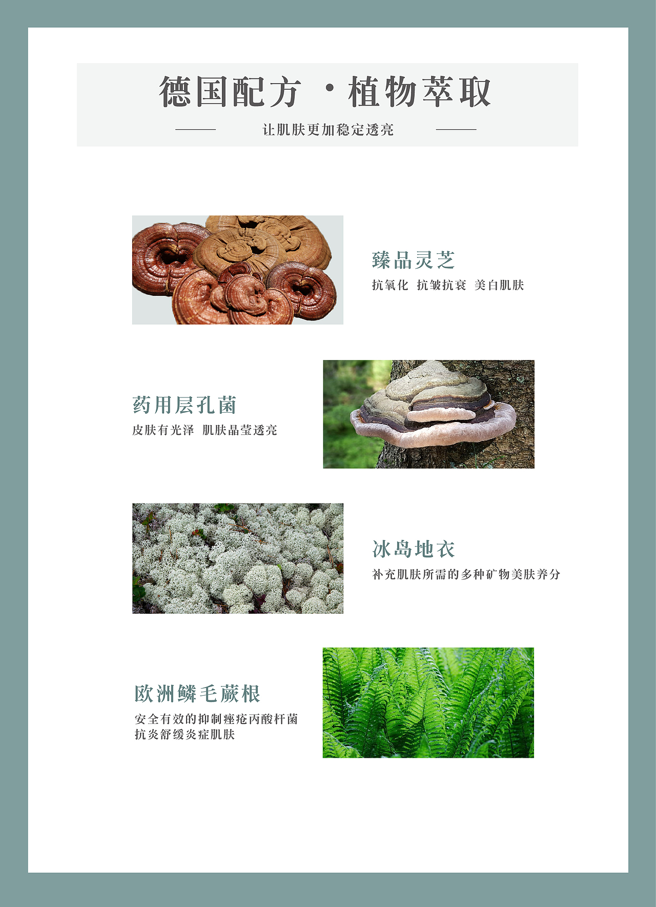 LONTCY | ELFENAND 化妆品品牌设计 Ⅱ（图ZMjI1MzEyODY4） - 品牌 - 站酷设计师龙楚莹原创素材 - 站酷ZCOOL