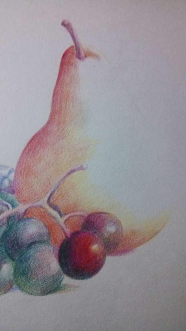 第一张静物彩铅的心得