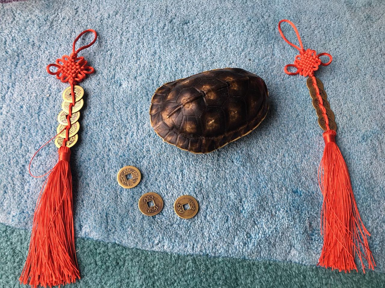 龟甲占卜  五帝钱 br>