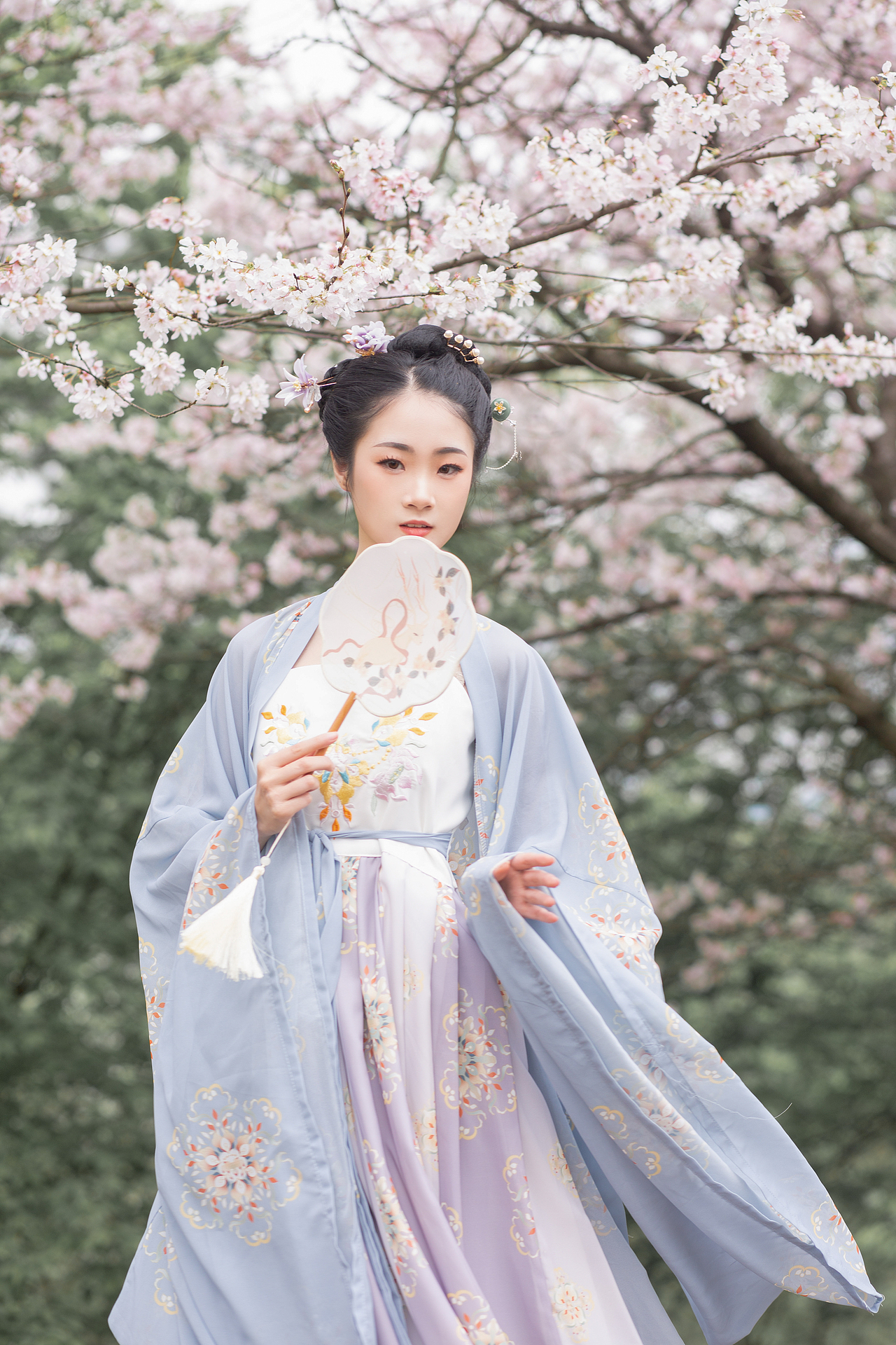 樱花汉服少女 蓝（图ZMjQ3NTM0MDA4） - 人像摄影 - 站酷设计师比克小魔王QAQ原创素材 - 站酷ZCOOL