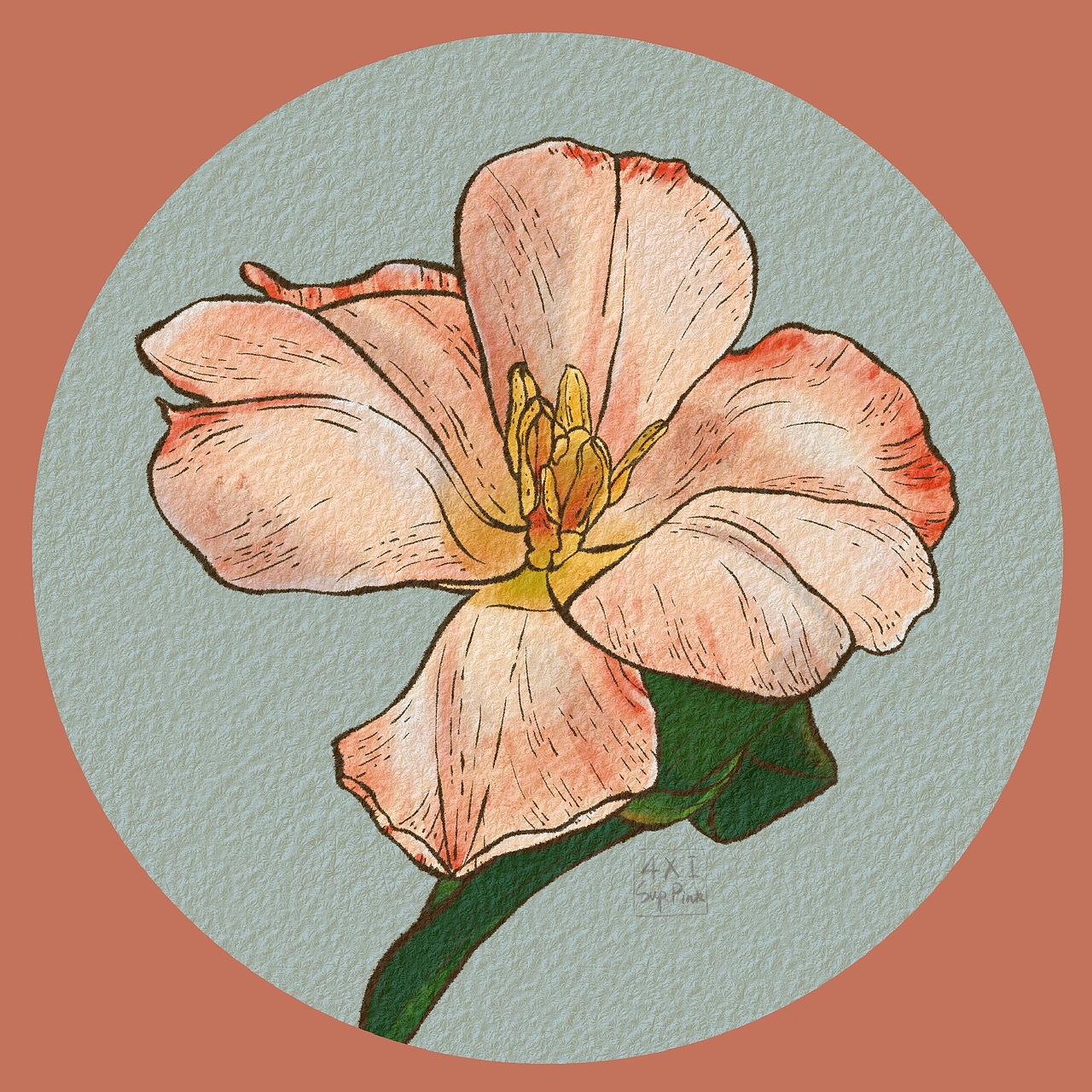 一组水彩花卉练习