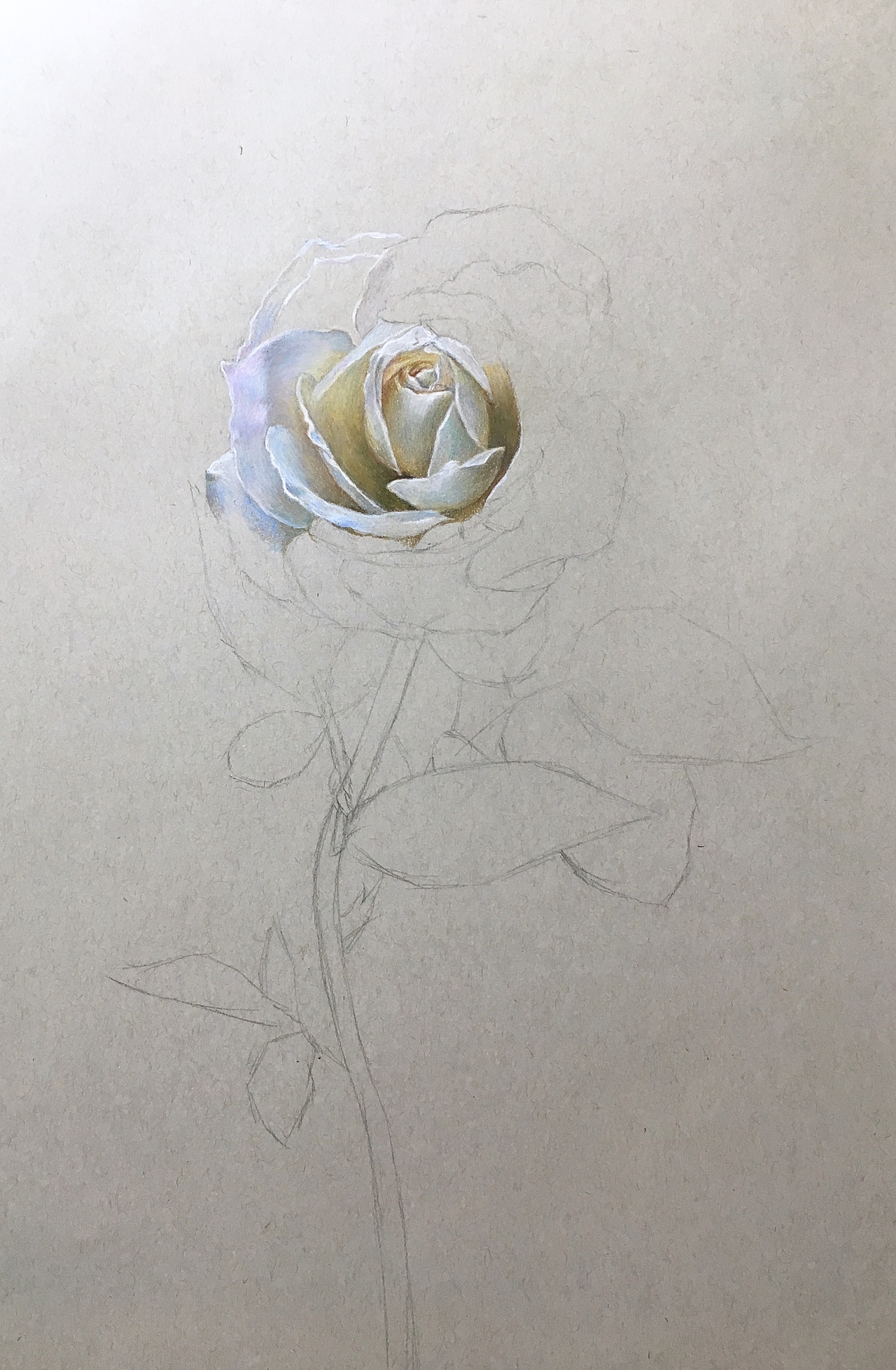 《纯洁·天真》|安德老师彩铅作品（图ZMTc4NzU4NTMy） - 绘画 - 站酷设计师Art安德原创素材 - 站酷ZCOOL