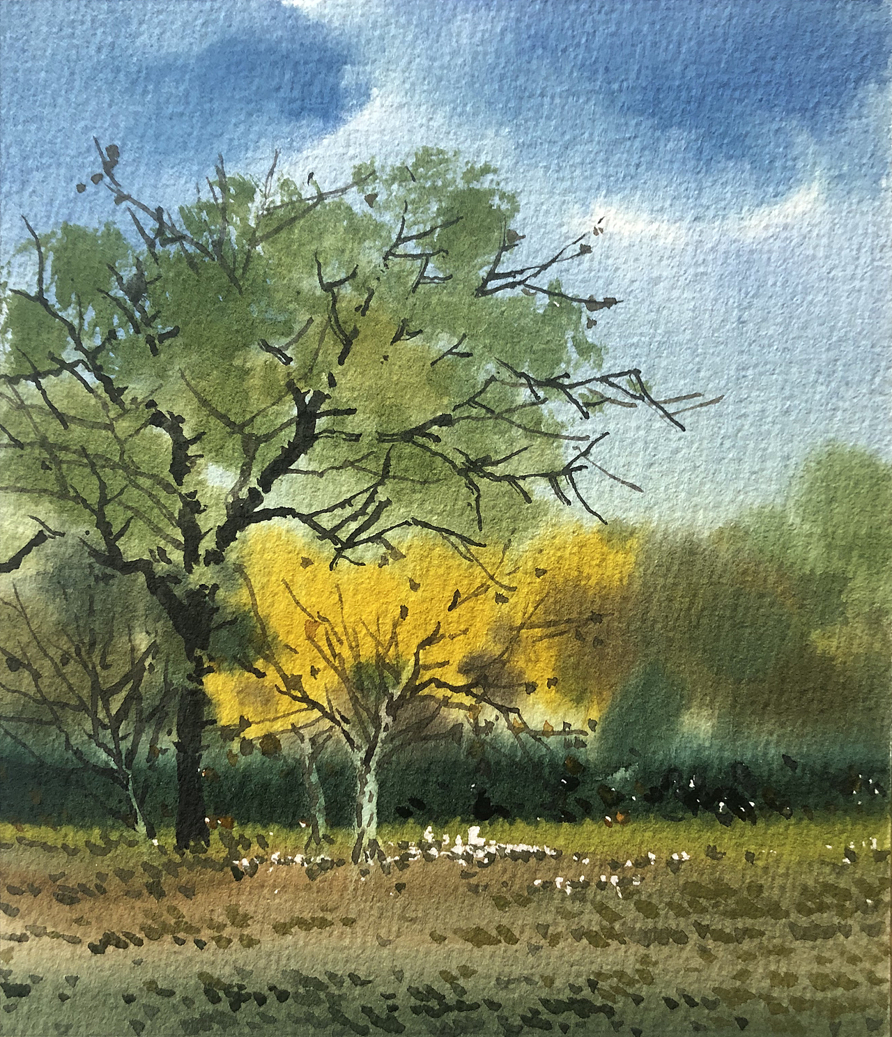 那些送给小伙伴们的小画 (高清详细 二)