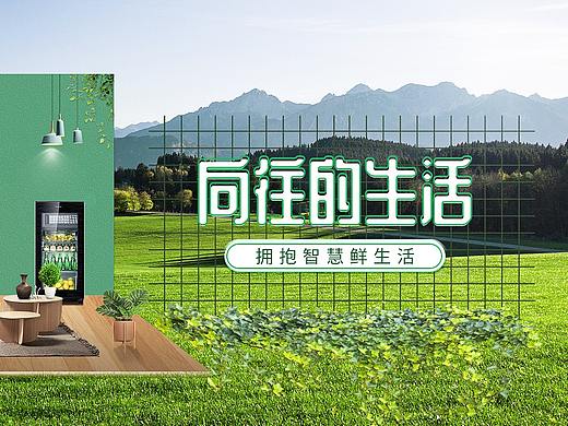 向往的生活