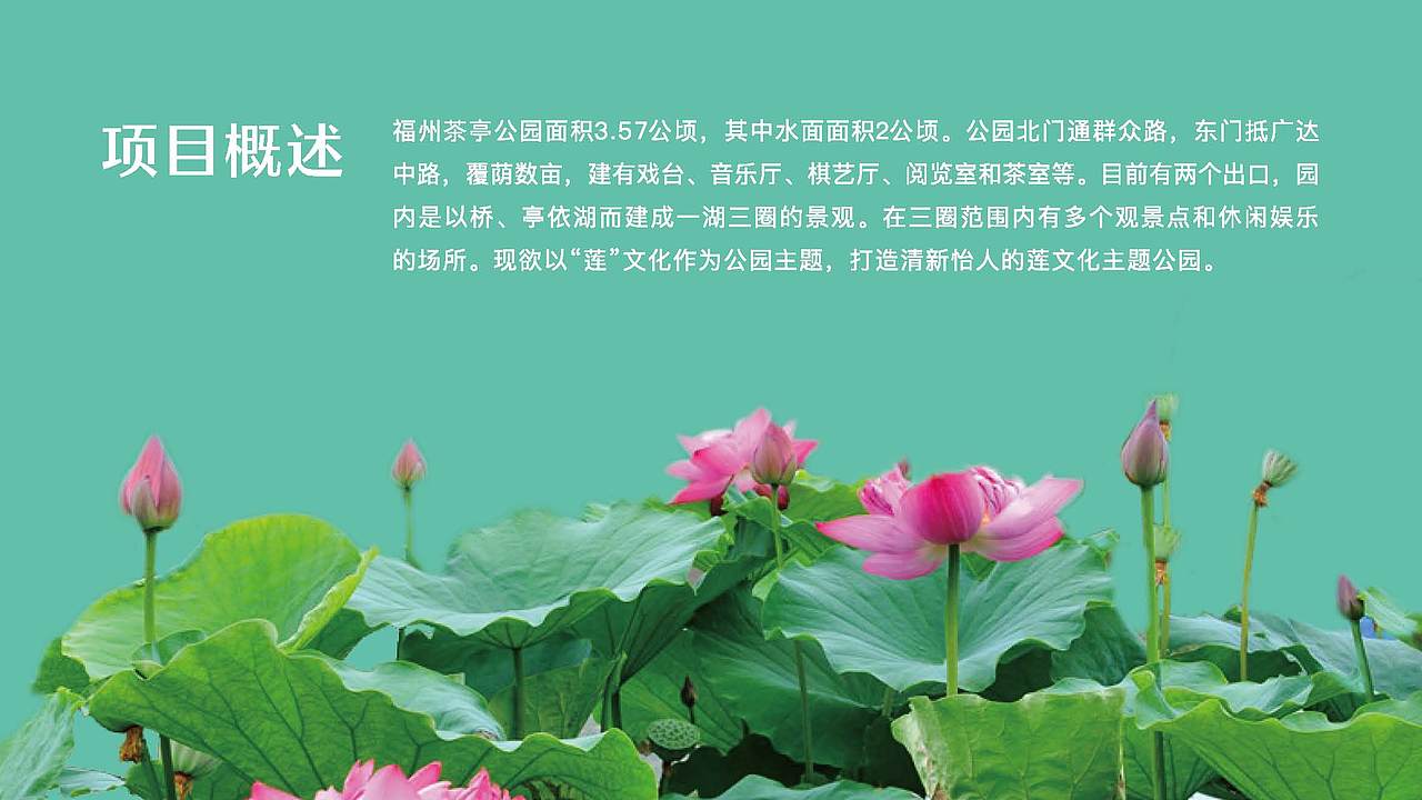 茶亭公园莲文化策划设计方案（图ZMjQzMTA3NTIw） - 展陈设计 - 站酷设计师Symmetra原创素材 - 站酷ZCOOL