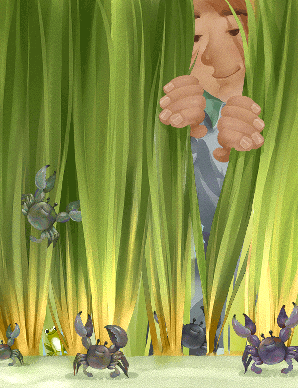 《沱沱公社》24节气广告插画