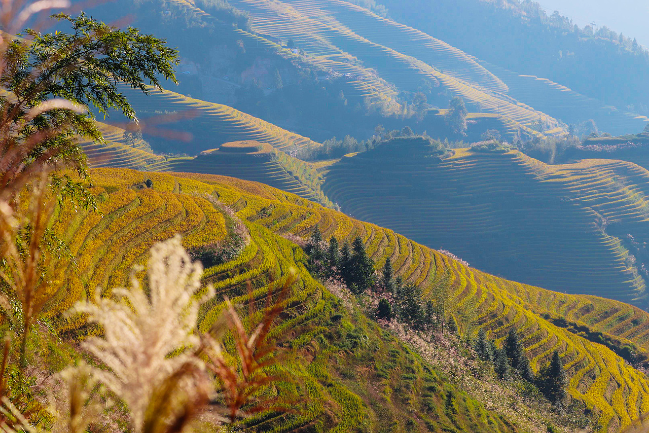 龙胜梯田（图ZMTMxNjIzNjQ4） - 风光摄影 - 站酷设计师realZT原创素材 - 站酷ZCOOL