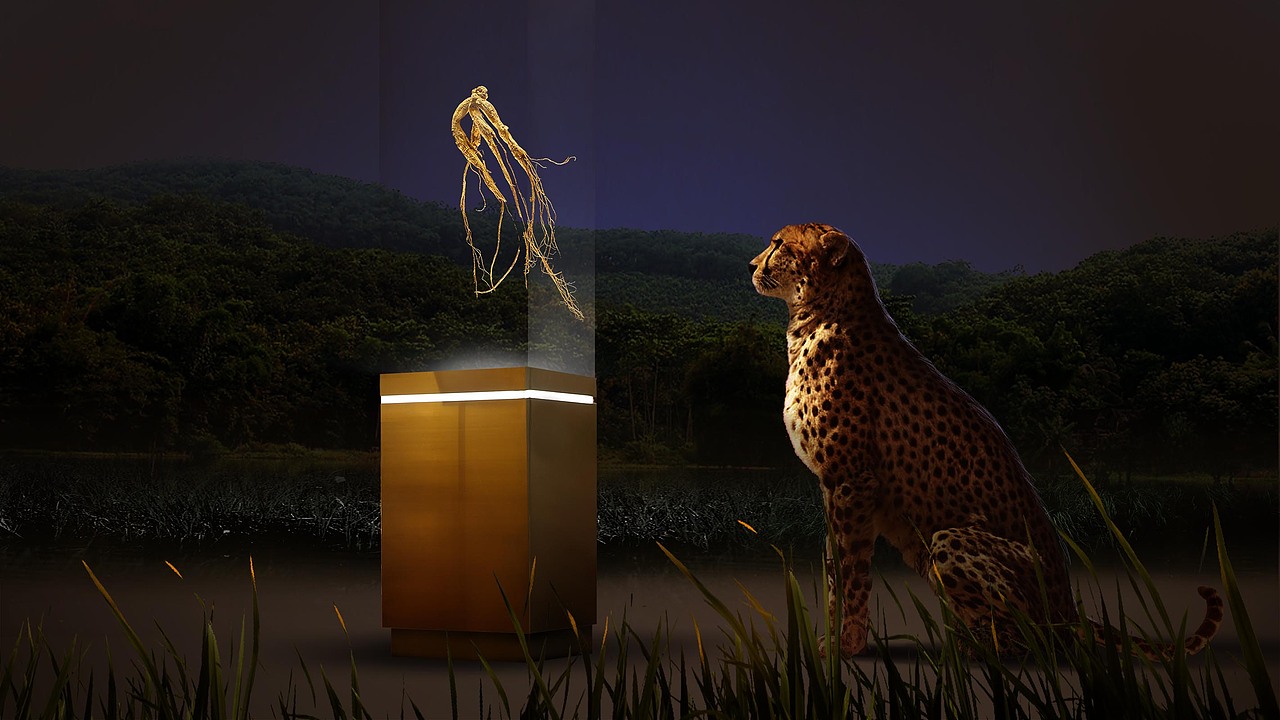 分镜气氛图（图ZMTMxNDU1OTgw） - 设定/分镜 - 站酷设计师冰川斜阳原创素材 - 站酷ZCOOL