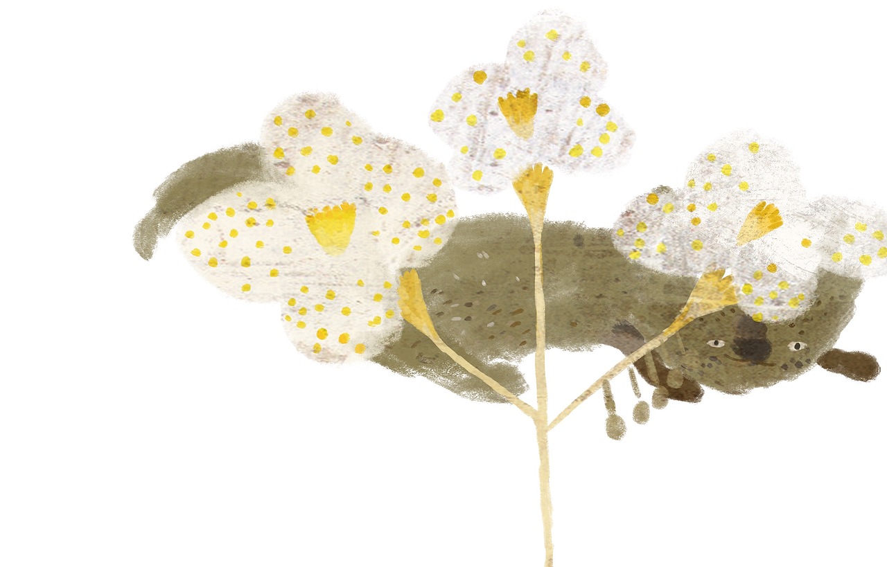 三个小系列合集