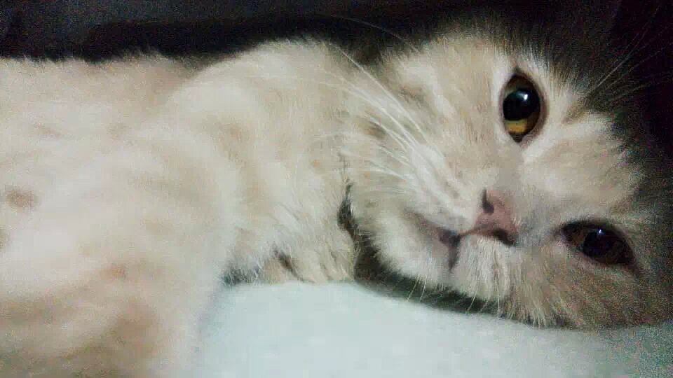 自拍